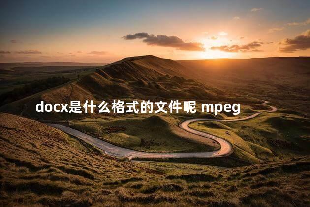 docx是什么格式的文件呢 mpeg4是什么格式的文件